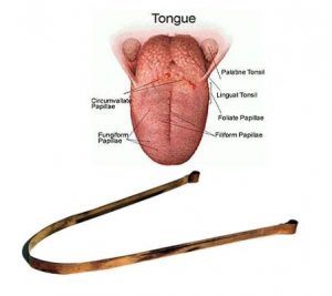 Tongreiniger gemaakt van koper, voor het effectief reinigen van de tong. Het schrapen van de tong met deze koperen tongschraper zorgt voor een betere mondhygiëne.